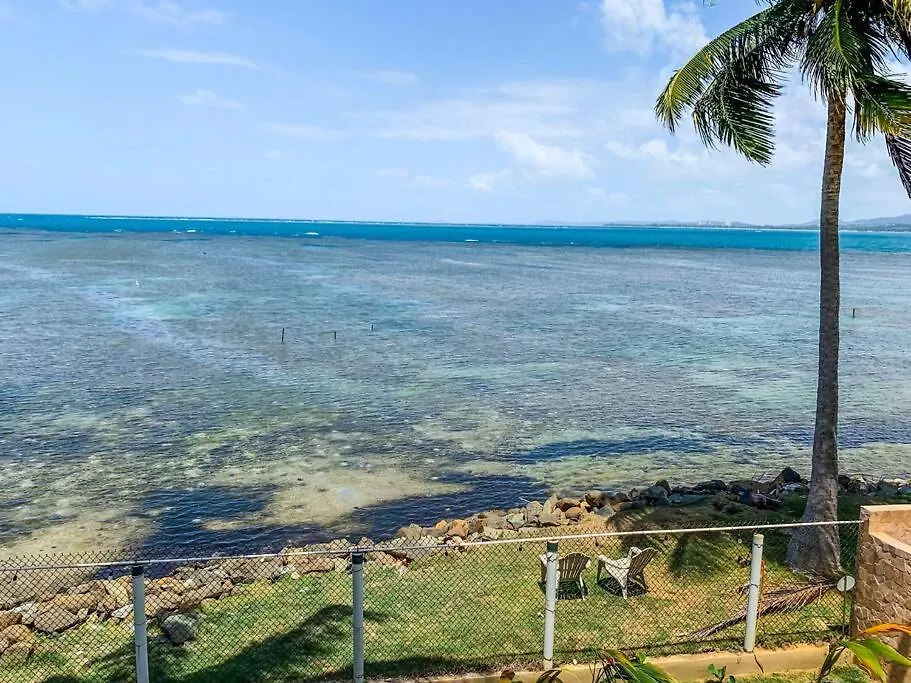 Newly Renovated 8 Bedroom Ocean Front Villa With Pool Rio Grande