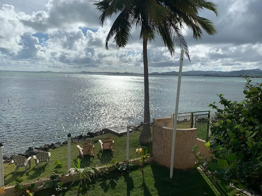 Newly Renovated 8 Bedroom Ocean Front Villa With Pool Rio Grande