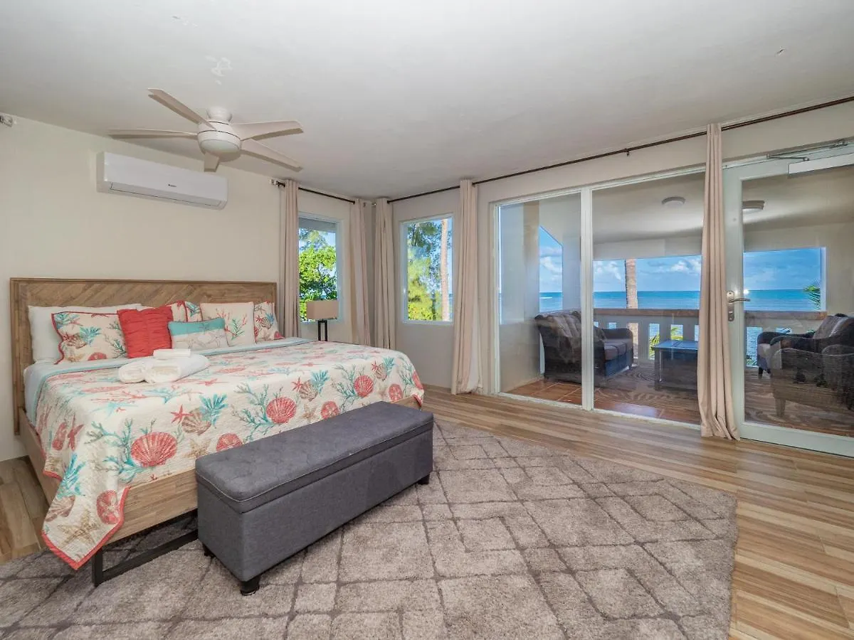 Newly Renovated 8 Bedroom Ocean Front Villa With Pool Rio Grande