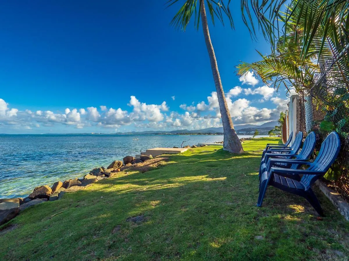Newly Renovated 8 Bedroom Ocean Front Villa With Pool 리오그란데 푸에르토리코